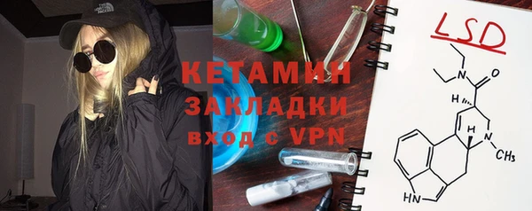 индика Инта