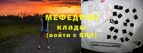 индика Инта