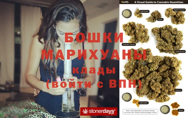 не бодяженный Иннополис