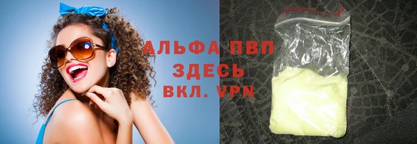 индика Инта