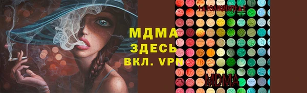 индика Инта