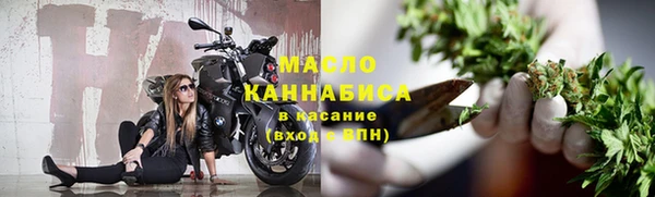 индика Инта