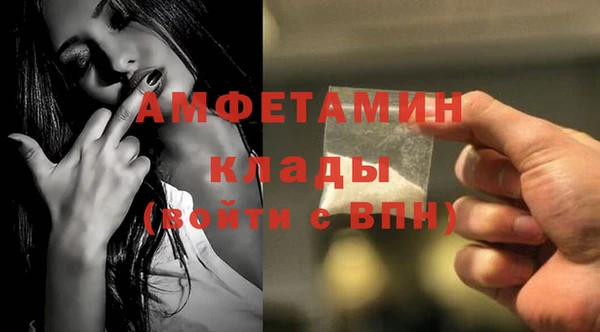индика Инта