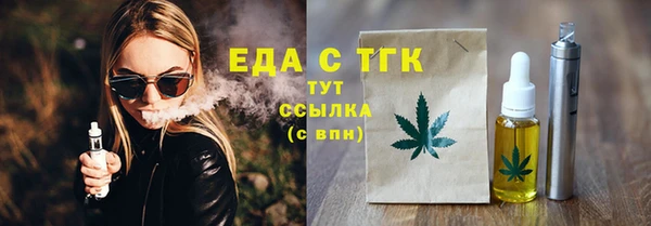 индика Инта