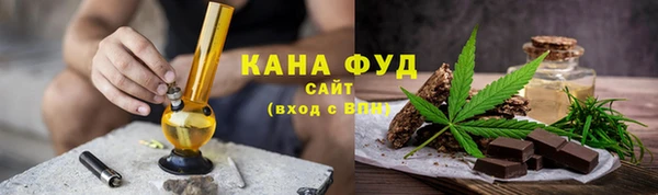 индика Инта