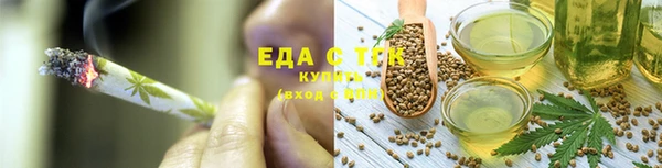 индика Инта