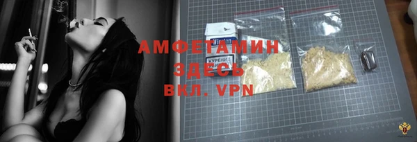 индика Инта