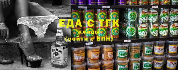 индика Инта