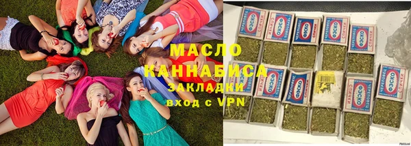 индика Инта