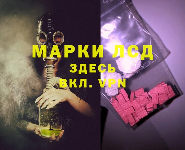 индика Инта