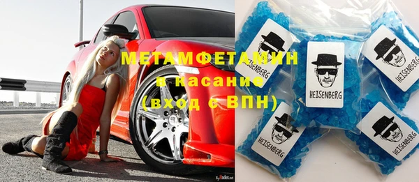 индика Инта