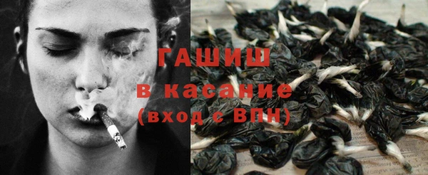 индика Инта