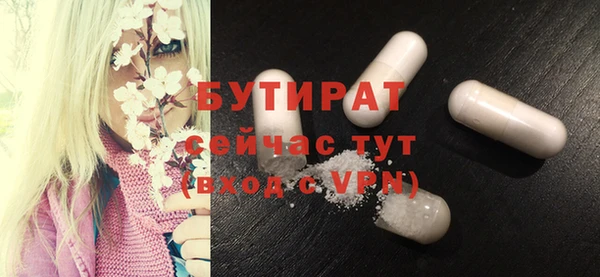 индика Инта