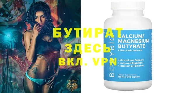 индика Инта