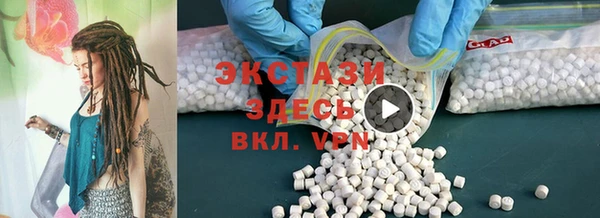 индика Инта
