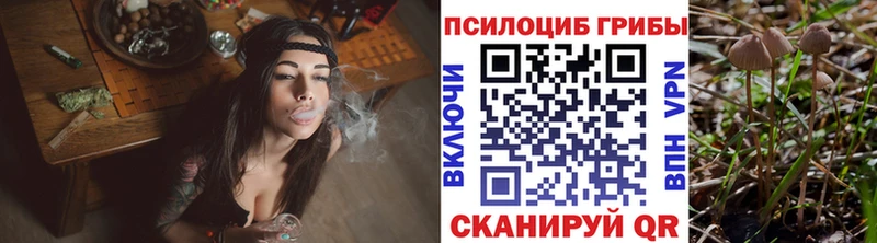 Купить  Мценск  Галлюциногенные грибы GOLDEN TEACHER 